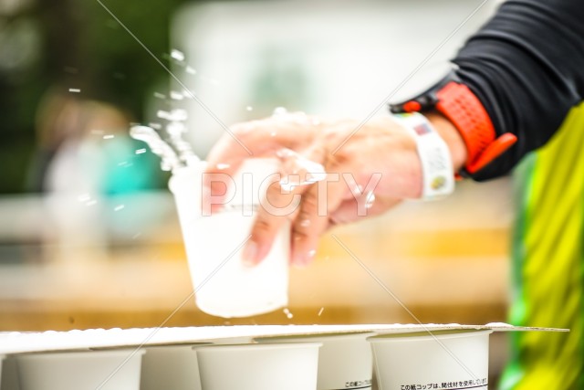 写真のタイトルが入ります