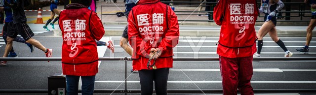 写真のタイトルが入ります