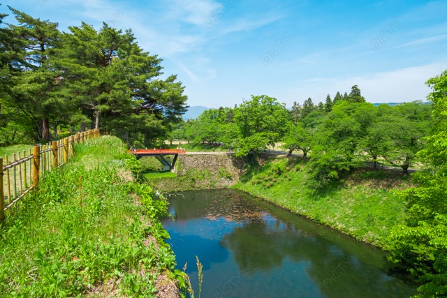 写真のタイトルが入ります