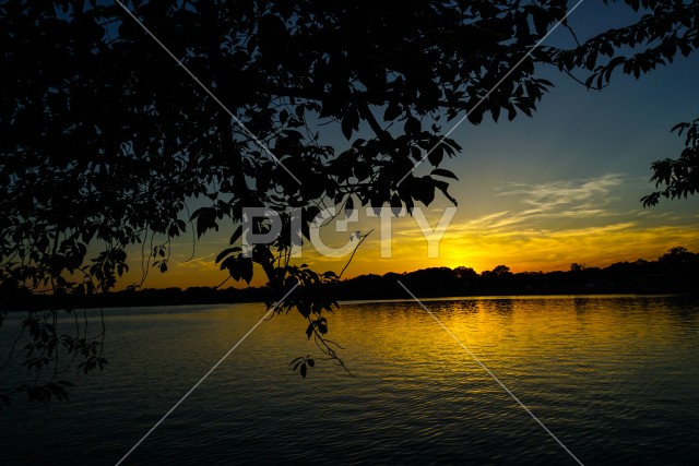 ワシントンDCの夕景