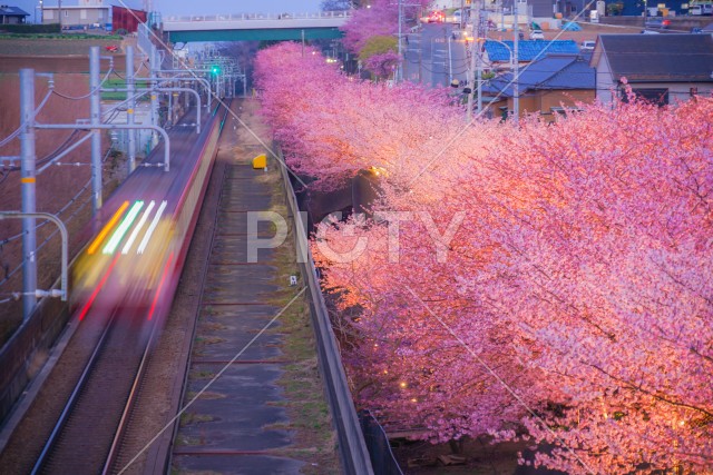 写真のタイトルが入ります