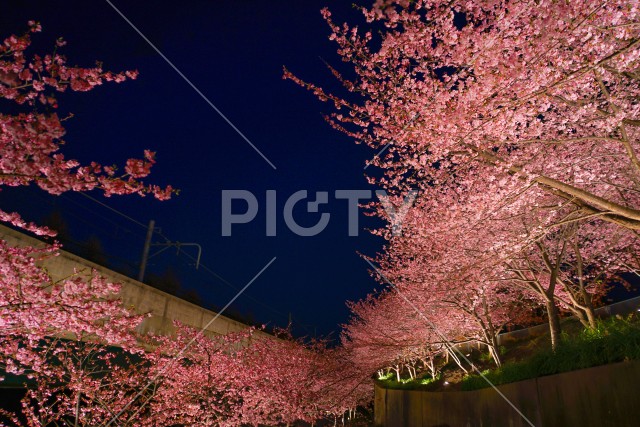 写真のタイトルが入ります