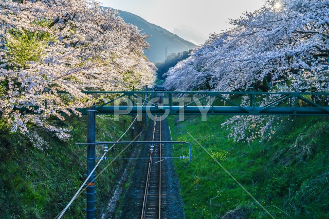写真のタイトルが入ります