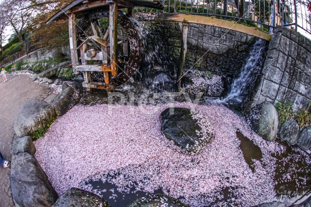 写真のタイトルが入ります