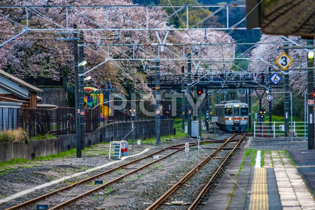 写真のタイトルが入ります
