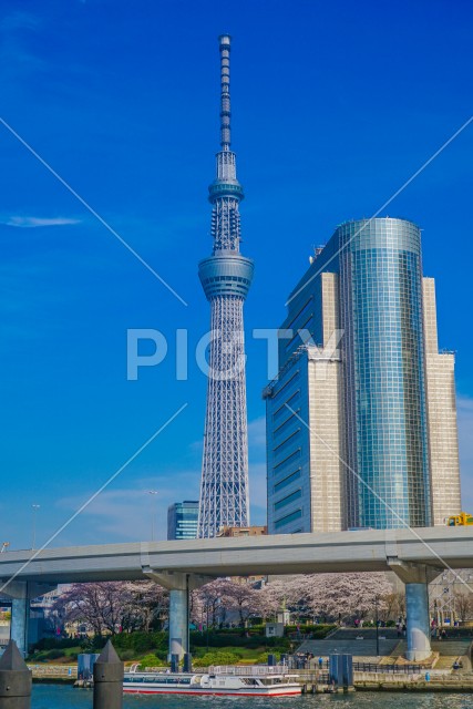 写真のタイトルが入ります