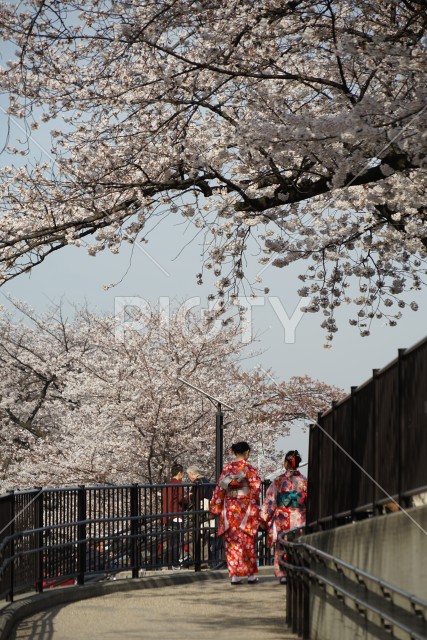 写真のタイトルが入ります