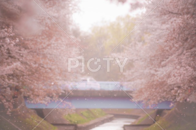 写真のタイトルが入ります