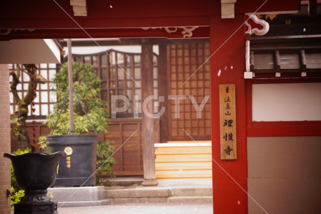 写真のタイトルが入ります