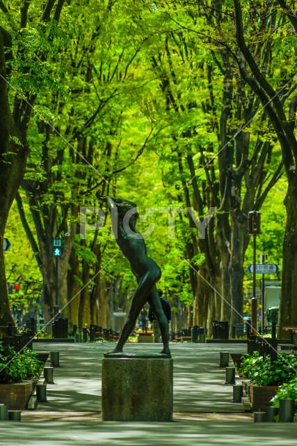 仙台定禅寺通りの新緑