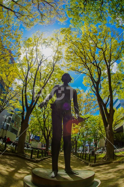 写真のタイトルが入ります