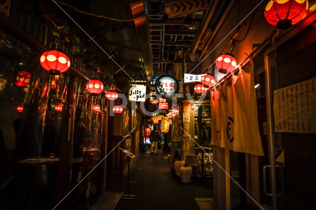 写真のタイトルが入ります