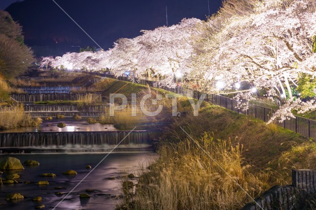 写真のタイトルが入ります