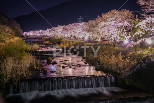 写真のタイトルが入ります