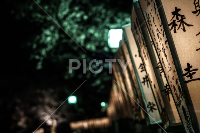 写真のタイトルが入ります