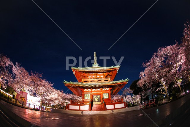 写真のタイトルが入ります