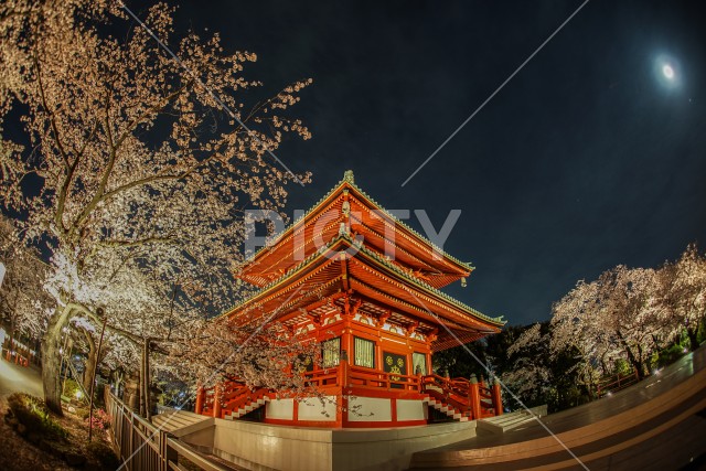 写真のタイトルが入ります