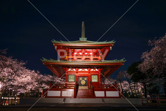 寺と夜桜