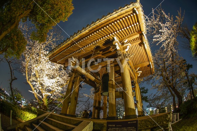 写真のタイトルが入ります
