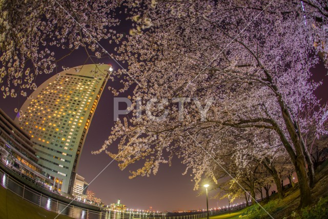 写真のタイトルが入ります