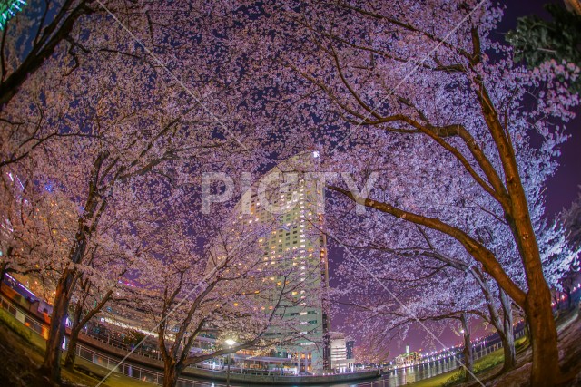 写真のタイトルが入ります