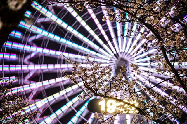 写真のタイトルが入ります
