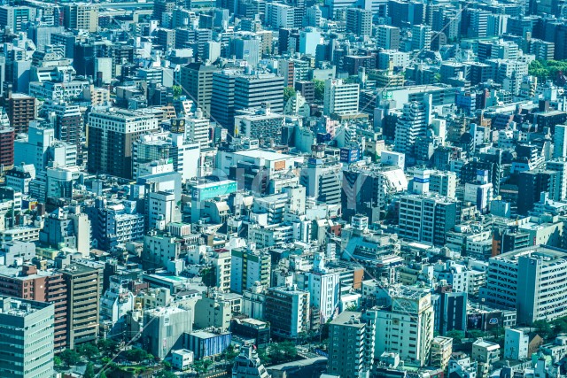 横浜市街地の街並み