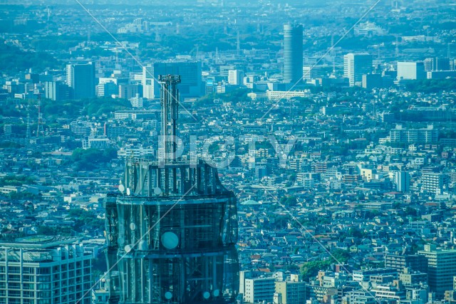 横浜市街地の街並み