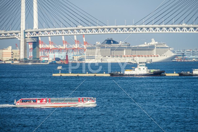 写真のタイトルが入ります