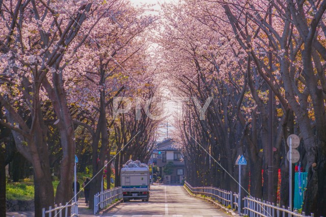 写真のタイトルが入ります