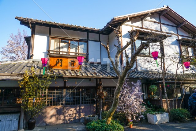 写真のタイトルが入ります