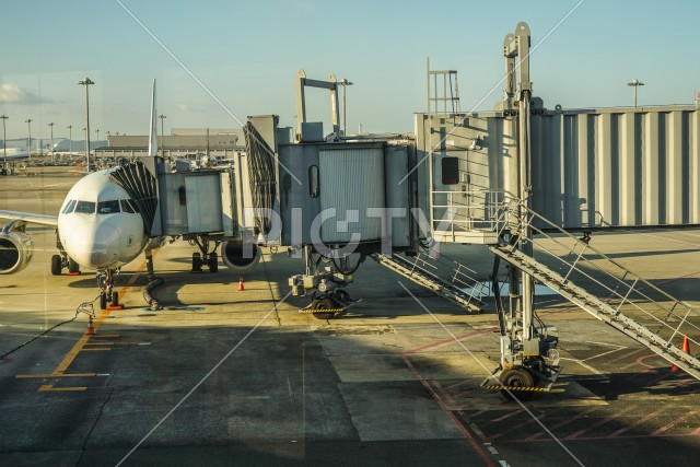写真のタイトルが入ります