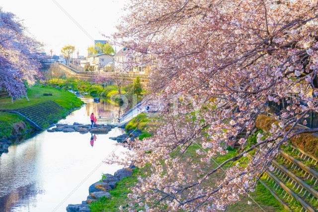 写真のタイトルが入ります