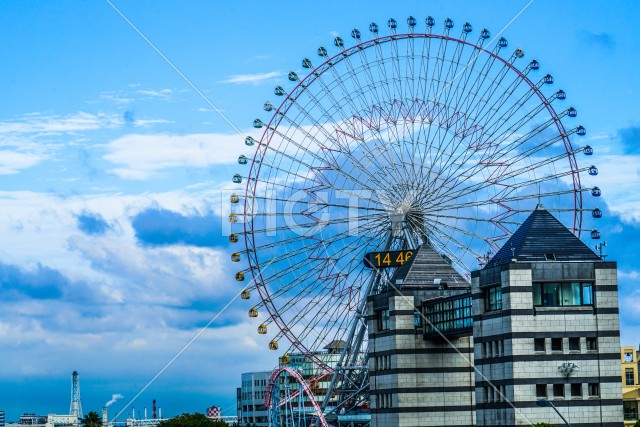 コスモクロックと青空