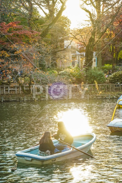写真のタイトルが入ります