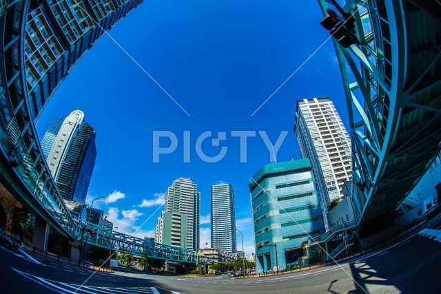 写真のタイトルが入ります