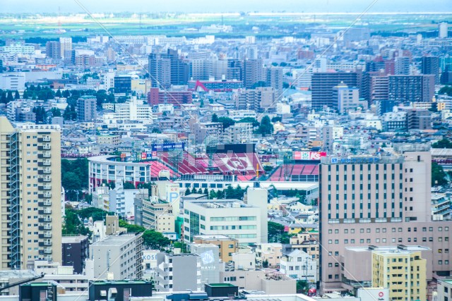 写真のタイトルが入ります