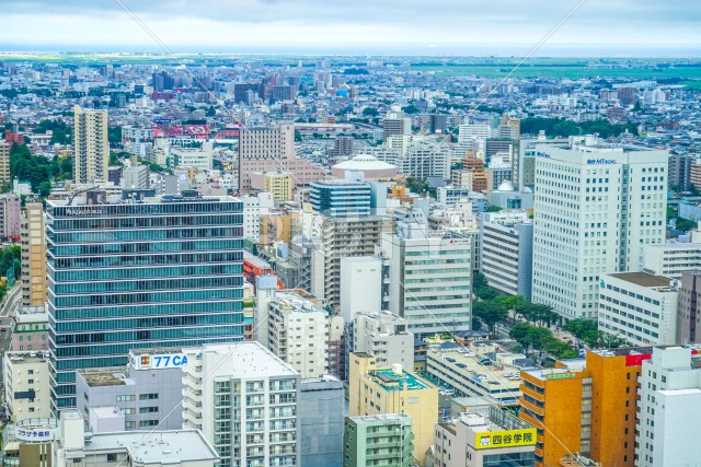 写真のタイトルが入ります
