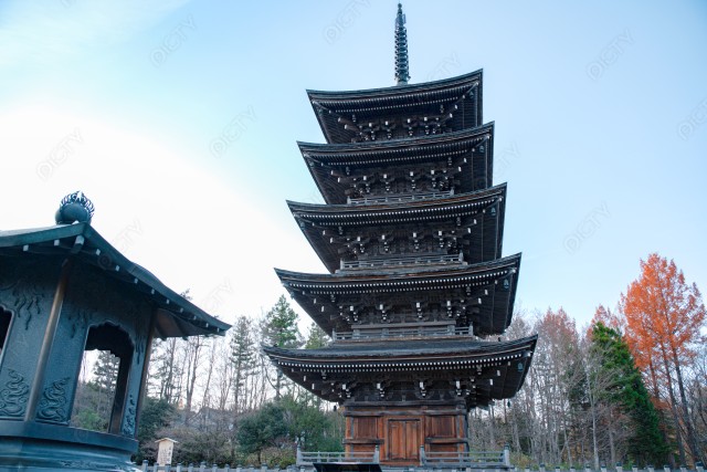 写真のタイトルが入ります