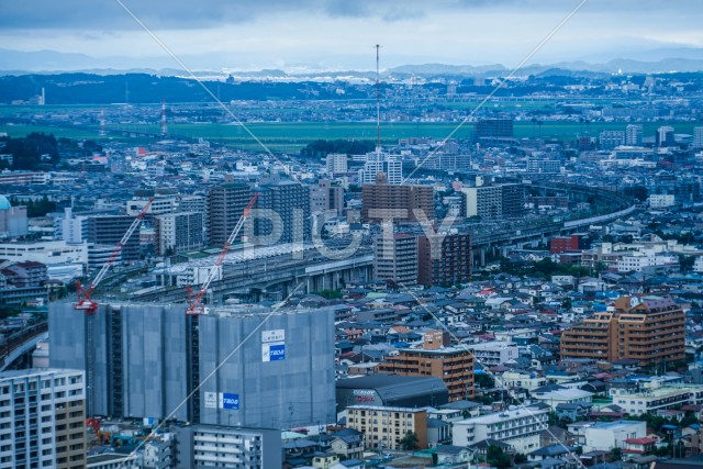 写真のタイトルが入ります