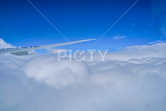 写真のタイトルが入ります