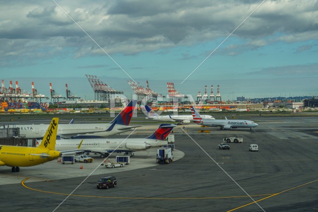 写真のタイトルが入ります