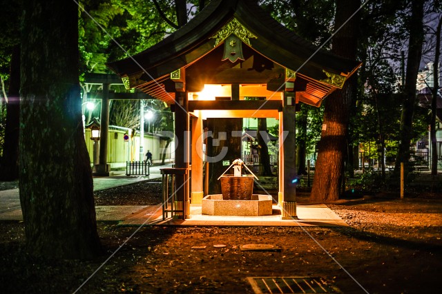 写真のタイトルが入ります