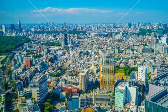 新国立競技場と東京の街並み