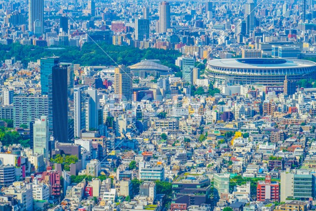 写真のタイトルが入ります