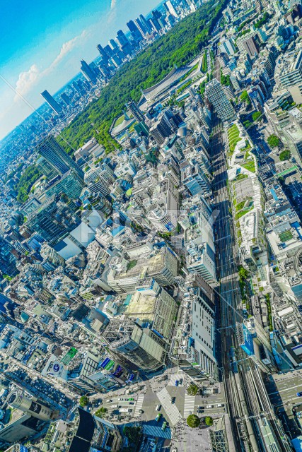 渋谷スクランブル交差点（渋谷スカイから撮影）