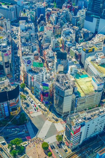 渋谷スクランブル交差点（渋谷スカイから撮影）