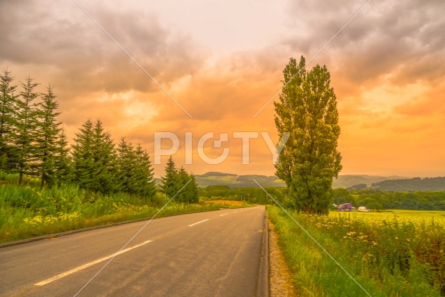 ケンとメリーの木と夕景（北海道美瑛町）