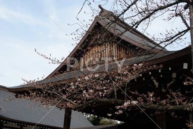 靖国神社のイメージ