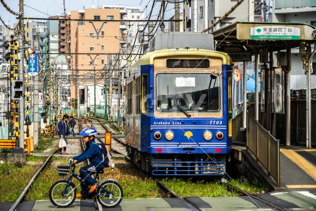 写真のタイトルが入ります